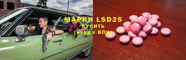 эйфоретик Баксан